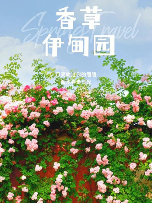 探索ons伊甸园:游戏剧情深度解析与玩家评论