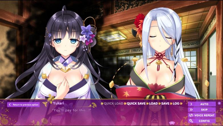 后宫大酒店绅士游戏：经营酒店，邂逅佳人！