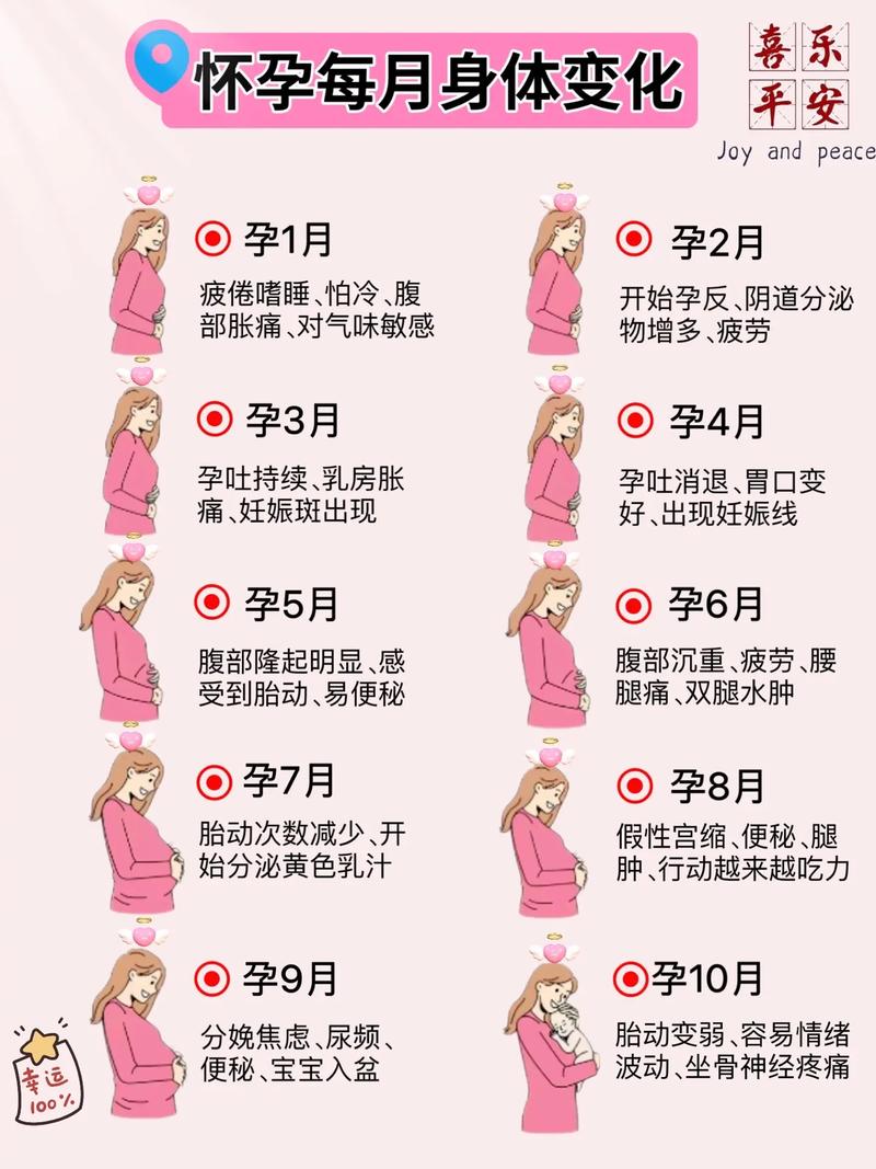 想怀孕？这十个怀孕app帮你轻松备孕怀孕