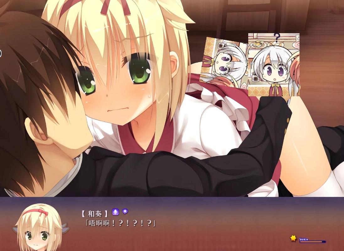 魔女的夜宴版本大全:体验不同魔女的魅力