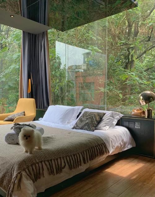 亲密民宿与你在一起BNB下载方法详解，轻松体验游戏乐趣