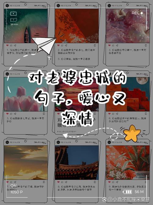 忠诚的妻子如何下载？高清完整版免费观看