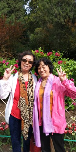 拓君和他的九个姐妹游戏下载方法详解