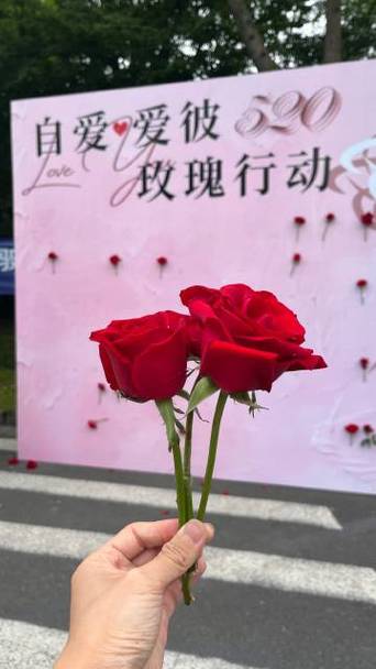 还在找玫瑰行动?各个版本资源下载地址大全!