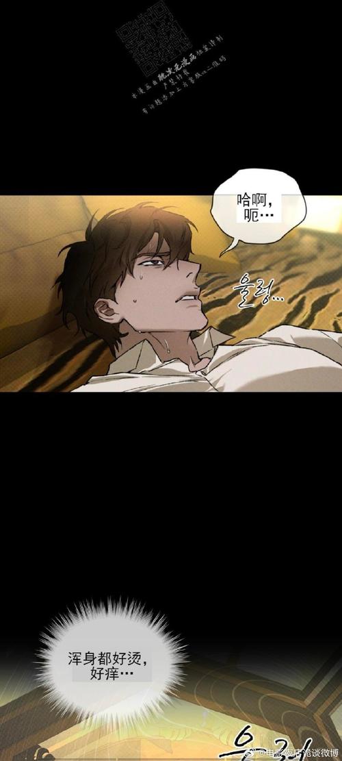 黑暗城与冒险者：弟弟的最爱，不容错过的冒险游戏