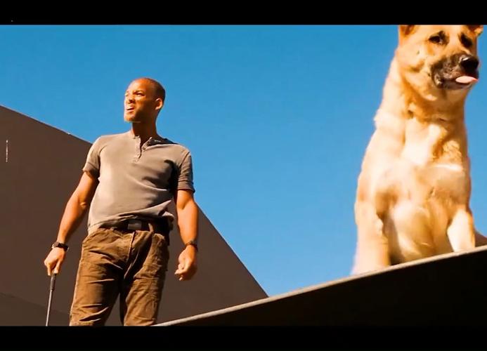 我是传奇下载哪里有？高清完整版看这里！