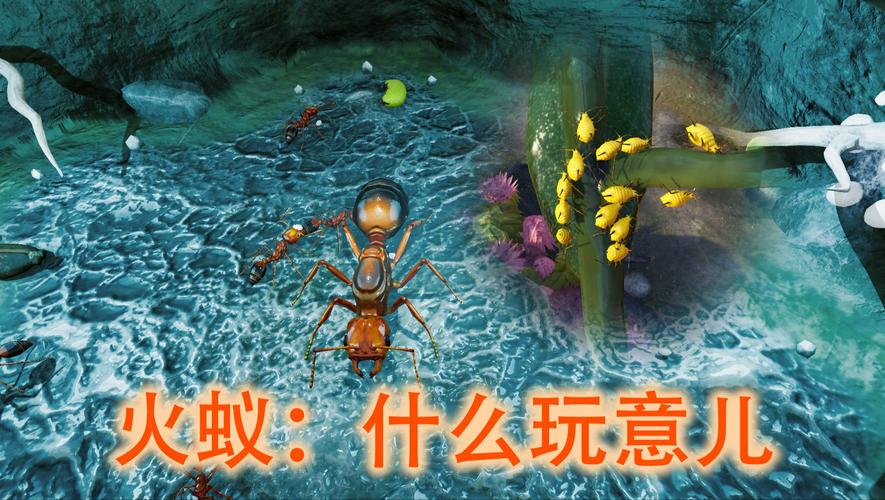 疯狂蚂蚁是什么?这款游戏到底好不好玩啊?