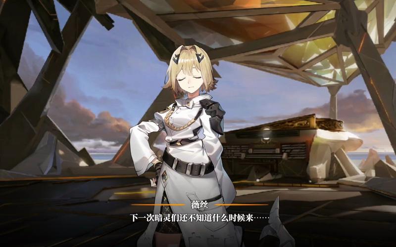 薇丝适合哪些人？看完这篇你就知道该不该买！