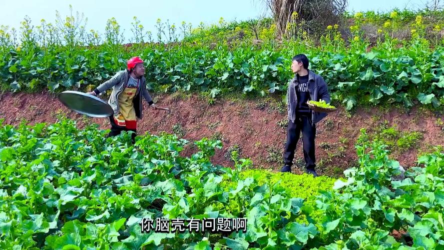 乡村改造你弟弟喜欢的游戏，咋改造？看这篇就懂！