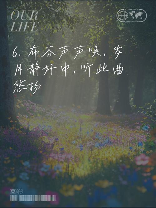 七夕听到布谷鸟叫？快来看看跟你想的一样不一样！