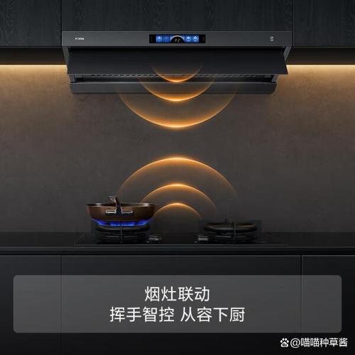 涟漪版本大全:哪个版本最好用?详细对比分析来了!