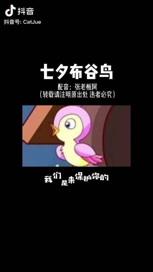 七夕听到布谷鸟叫？快来看看跟你想的一样不一样！