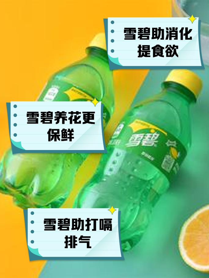 雪碧直播打不开怎么办？常见问题解决方案！