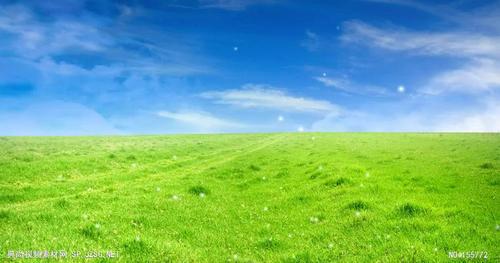 青青草原下载总是失败？试试这几个靠谱方法！