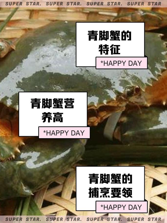 鬼脚蟹多少钱一斤？哪里能买到正宗的鬼脚蟹？