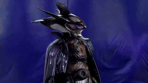 精灵女上司的训狗术游戏在哪下载？弟弟超爱！