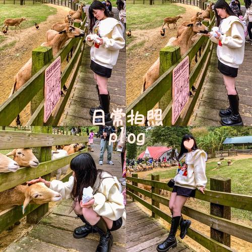 后宫牧场生活下载指南，新手也能轻松搞定！