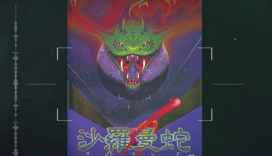 沙龙曼蛇吃什么食物?新手饲养沙龙曼蛇看这里!