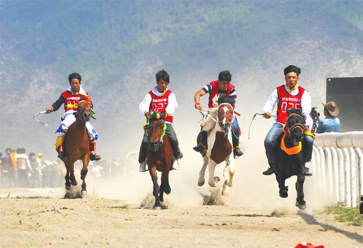 端午节与马的那些事儿,盘点有趣的庆祝活动!