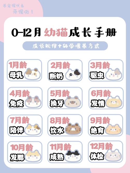 猫咪社区官网最新下载教程,新手铲屎官看过来!