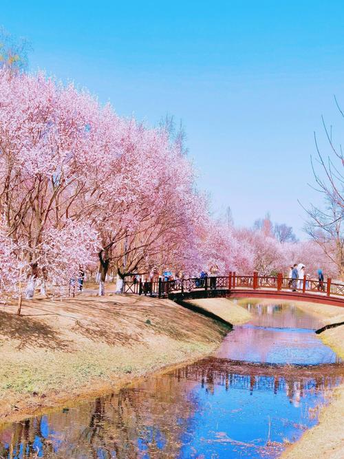 桃花境在哪下载?这几个平台可以放心下载!