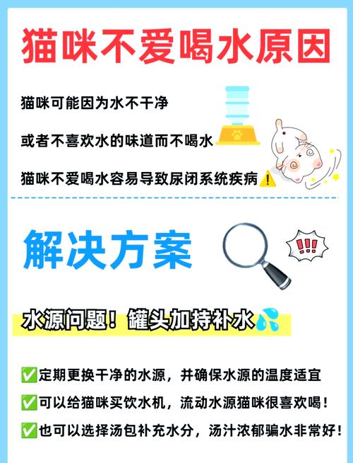 猫咪社区官网最新下载教程,新手铲屎官看过来!