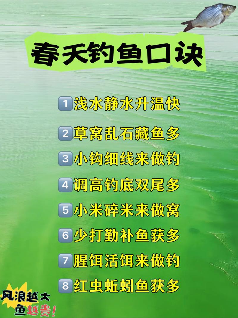 宗师级钓鱼秘籍大公开：高效钓鱼技巧分享