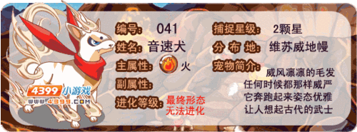 快速提升音速犬等级：最全练级方法分享