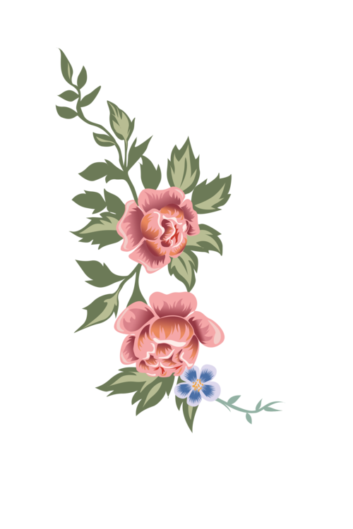 如何下载灵岛传说?最全下载攻略分享