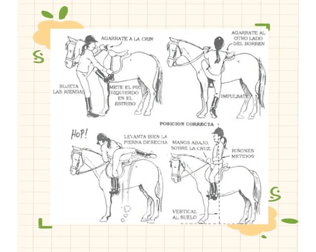 告别迷茫！骑马与砍杀赶牛技巧详解及图文