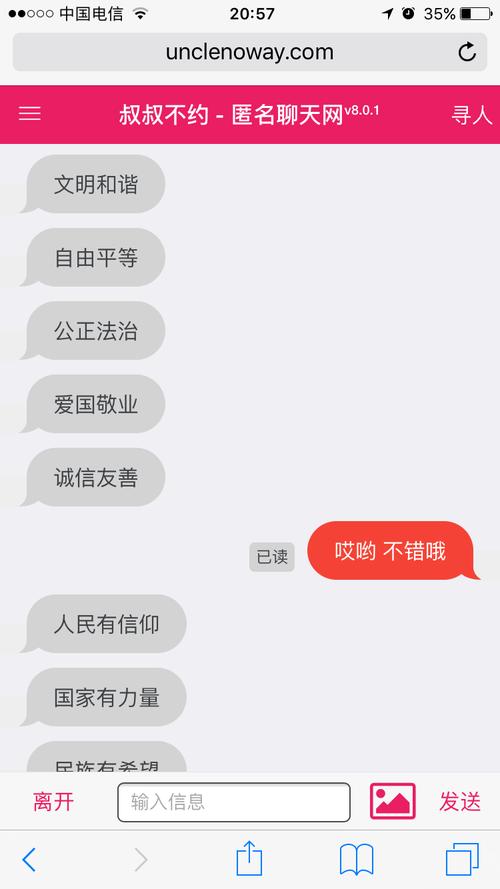 叔叔不约匿名聊天网站官网地址是什么？避免进入假网站