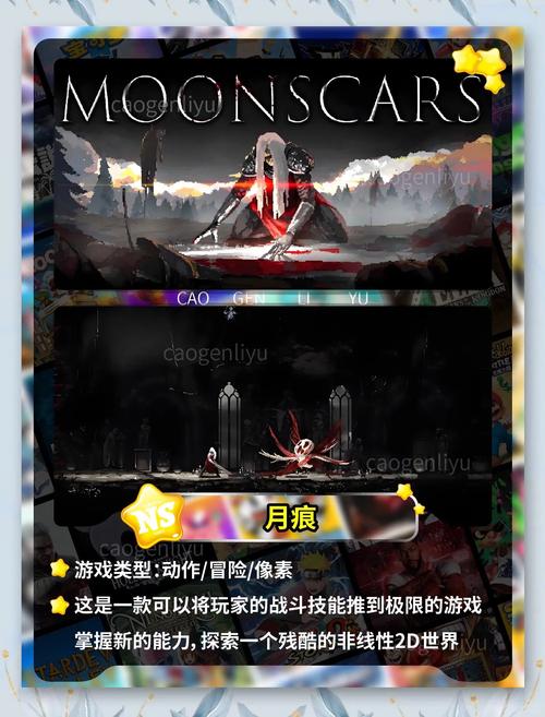 SOB游戏详解：策略冒险，挑战你的极限