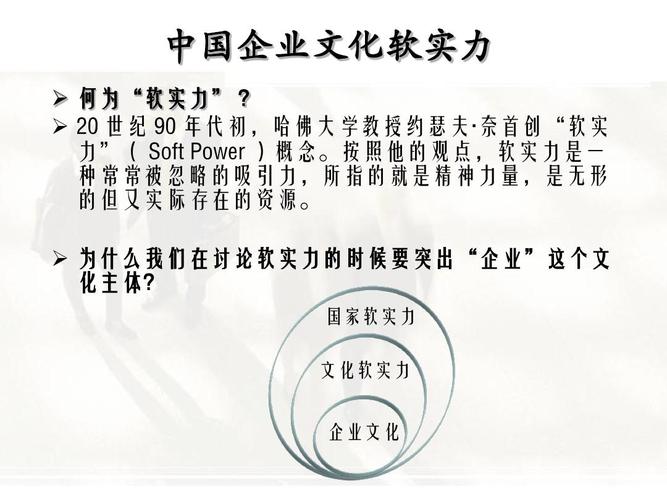 深入了解DP战队：实力与精神的完美结合