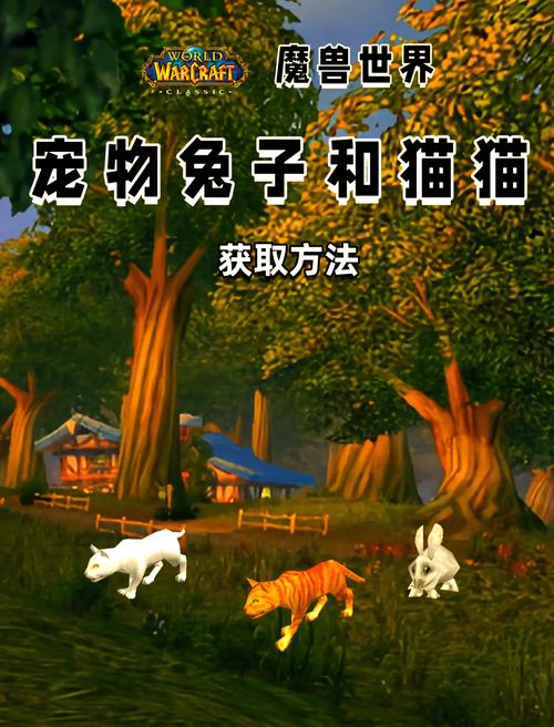 达纳苏斯夏琳奈尔坐标是多少?魔兽世界宠物商人位置分享