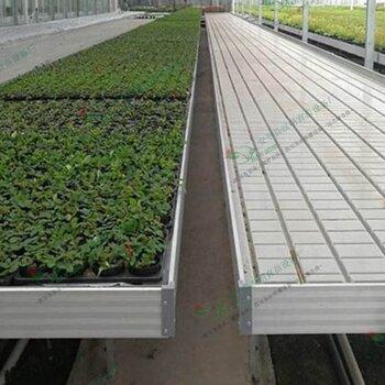 高效种植苗床圣女:最新版本实用技巧分享