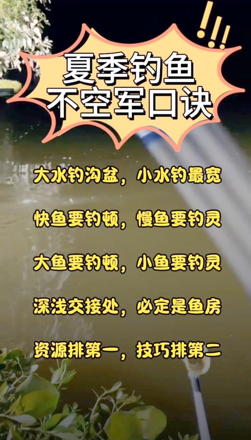 宗师级钓鱼秘籍大公开：高效钓鱼技巧分享