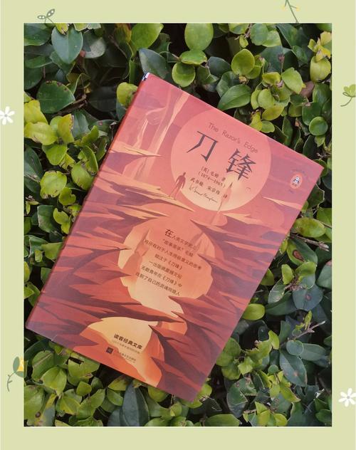 刀锋意志小说：精彩剧情，带你体验热血人生