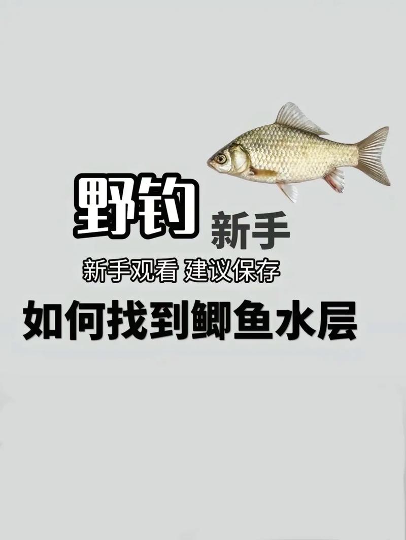宗师级钓鱼秘籍大公开：高效钓鱼技巧分享