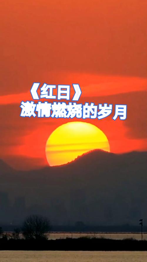 寻找激情燃烧的岁月最新版本?这里有高清资源下载