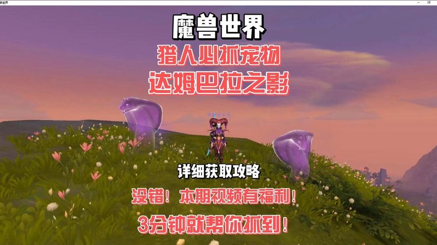 轻松捕捉索克!魔兽世界猎人抓宠秘籍