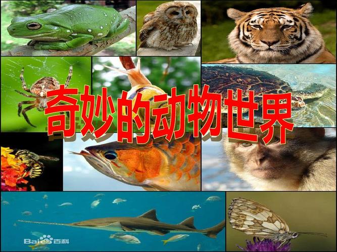 Razorback详解:游戏武器与现实动物的奇妙联系