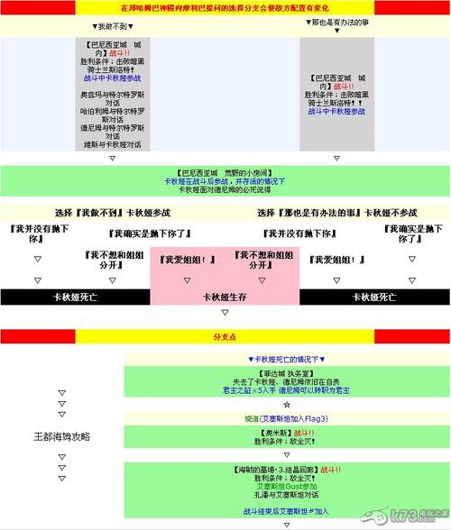皇家骑士团命运之轮：策略战斗与命运交织