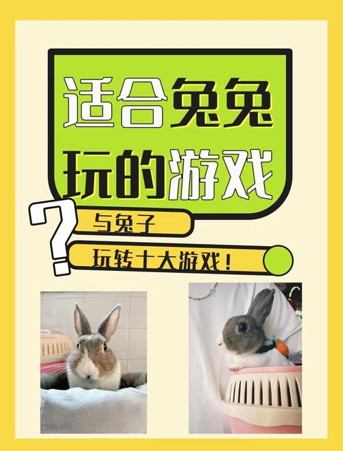 兔兔秘密花园杨过游戏体验:超好玩!你玩了吗?