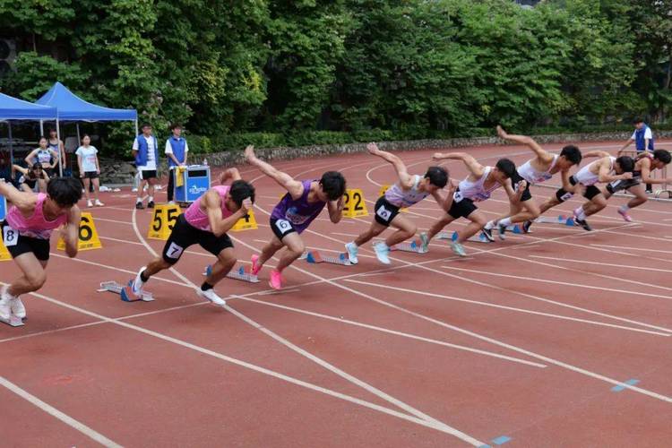 下载田径运动会2:感受速度与激情的碰撞!