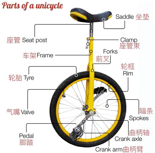 胖子玩死亡独轮车怎么选？尺寸、承重是关键！