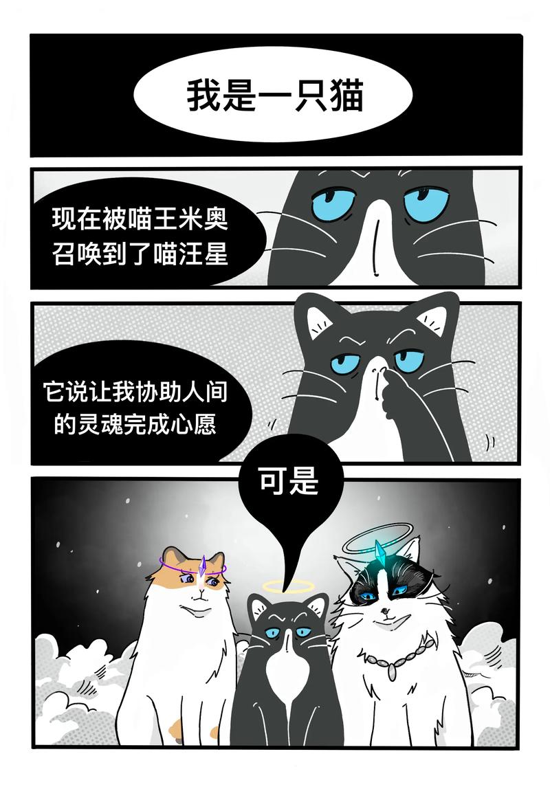 小偷猫大冒险：破解奇喵谜题，窃取宇宙宝物！