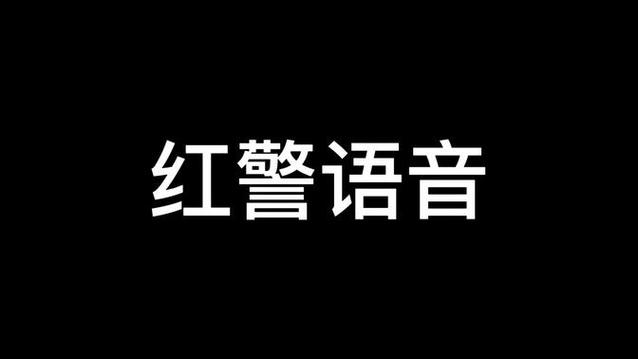 红警2语音包下载:高清完整版,支持多种语言