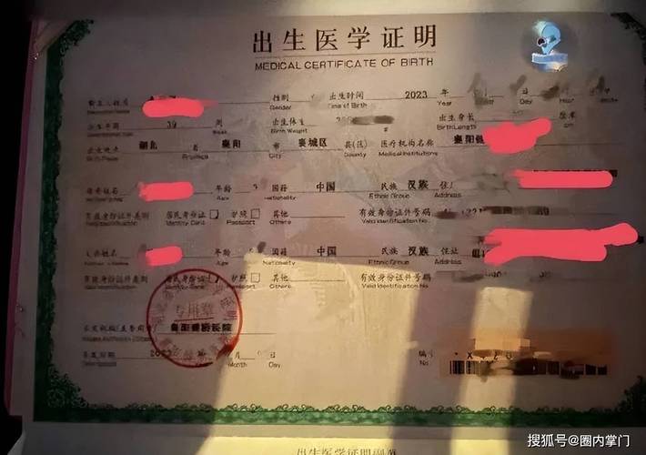 出生证明下载难?试试这几个简单方法