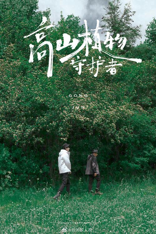 生命方舟1：探秘全球健康体系的纪录片之旅