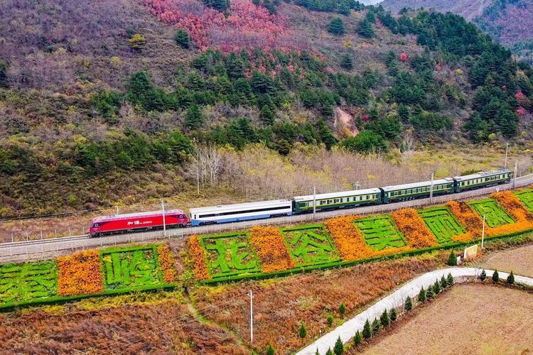 火车靠左行驶?在我国,这是一种怎样的交通规则?